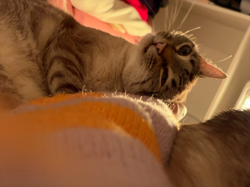 GIF enviado por Naiara