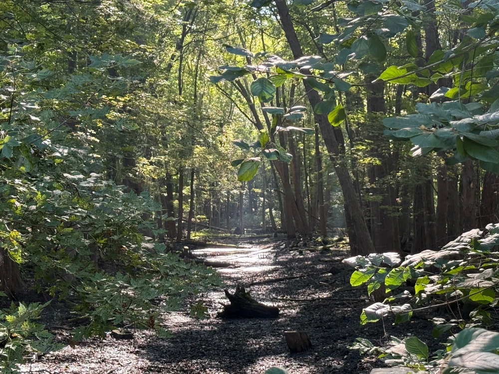 GIF uploaded by Charles