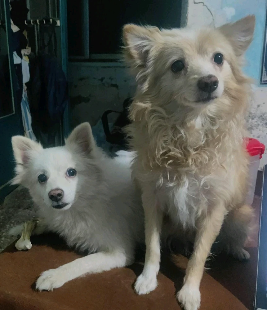 GIF uploaded by Celeste