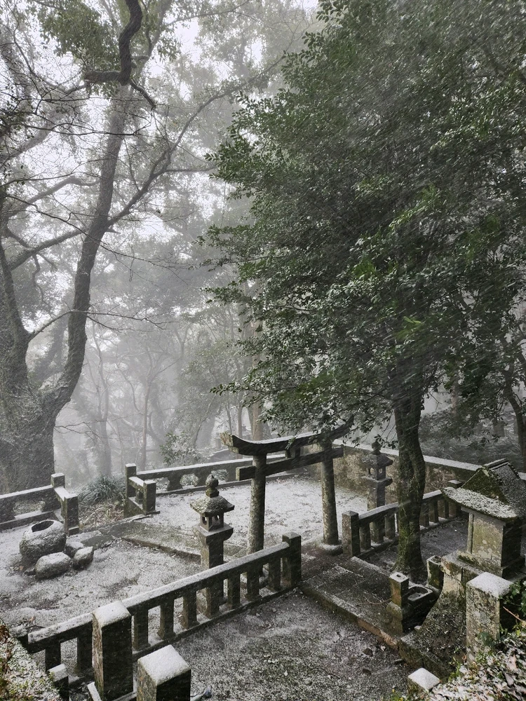 Image uploaded by Gordi