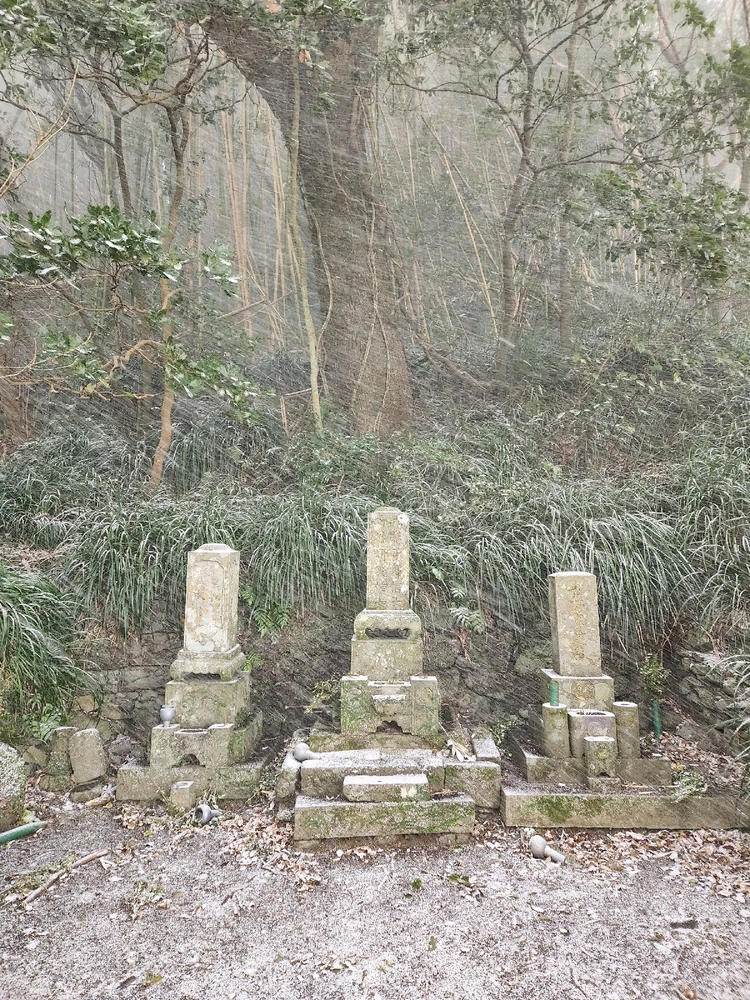 Image uploaded by Gordi