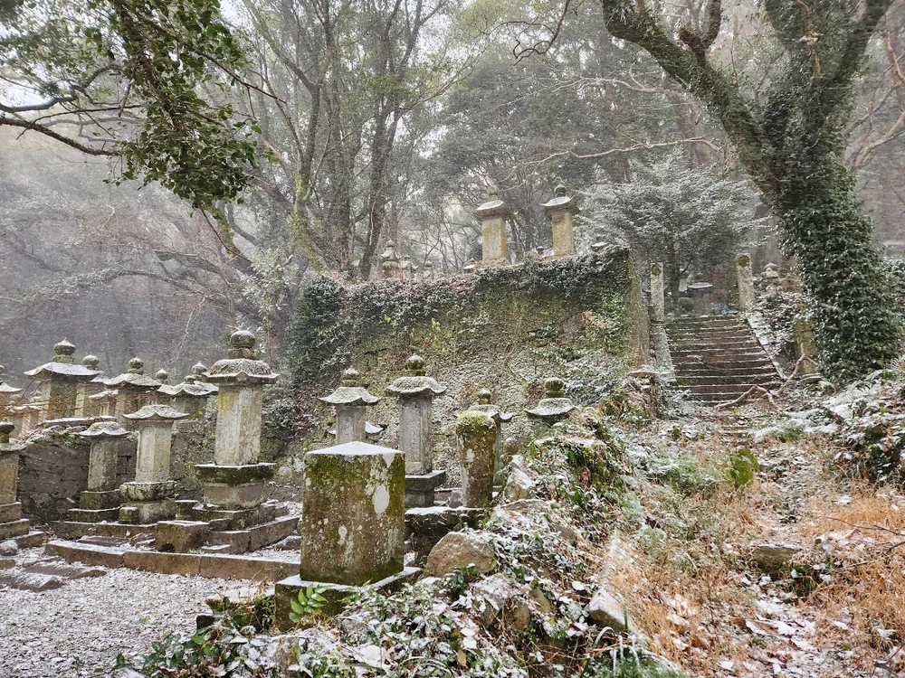 Image uploaded by Gordi