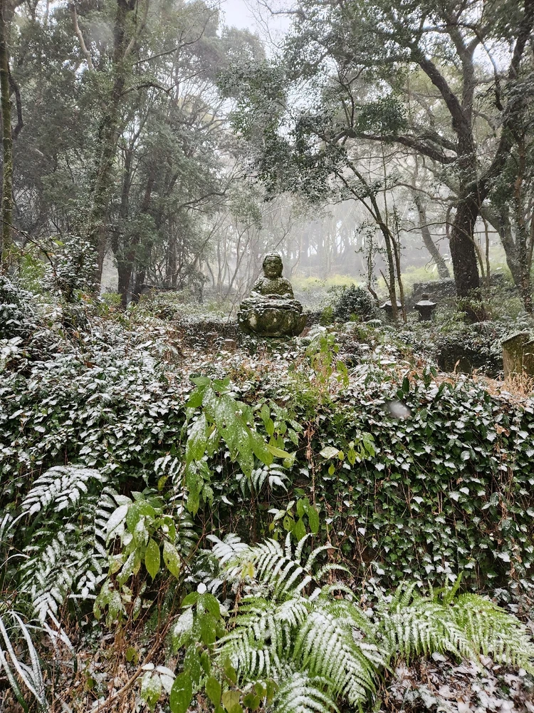 Image uploaded by Gordi