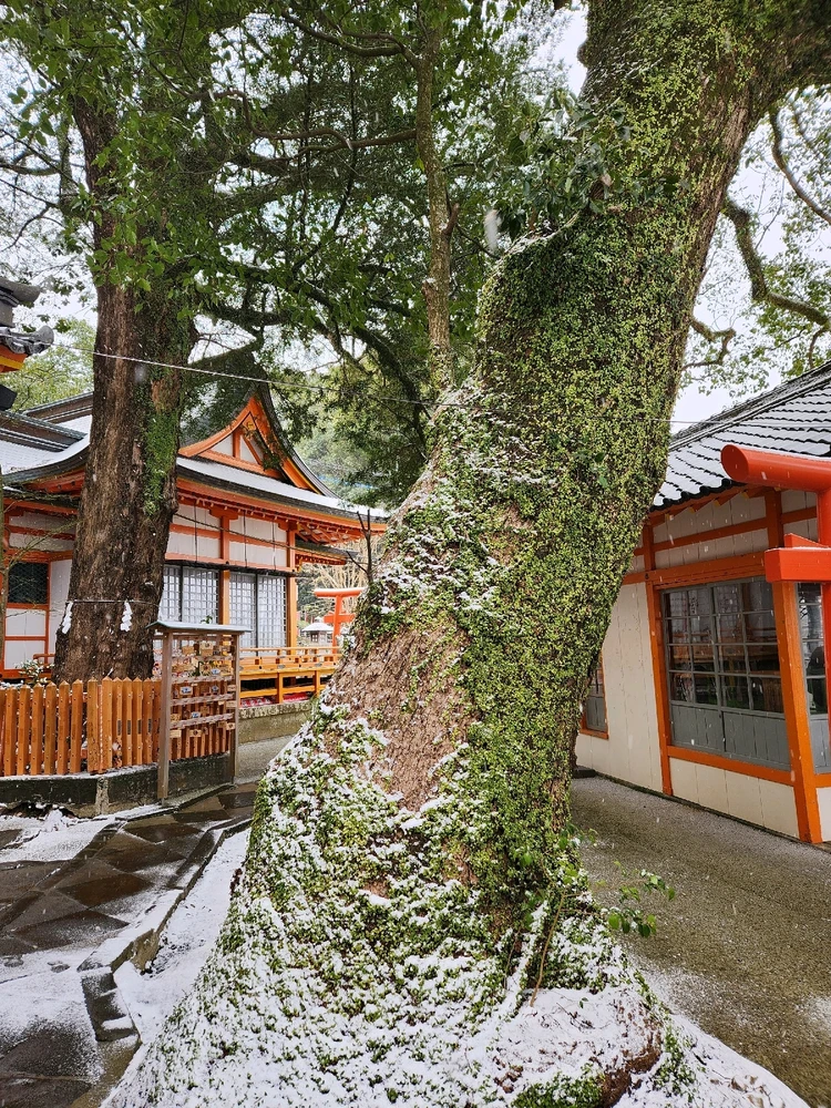 Image uploaded by Gordi