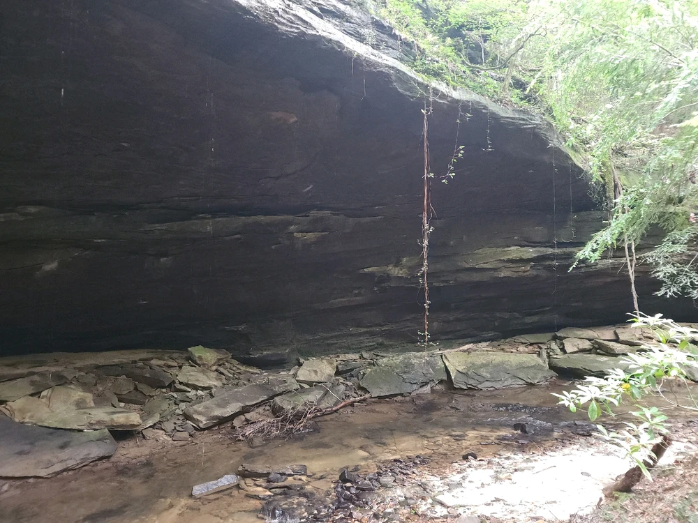 Image uploaded by Mike