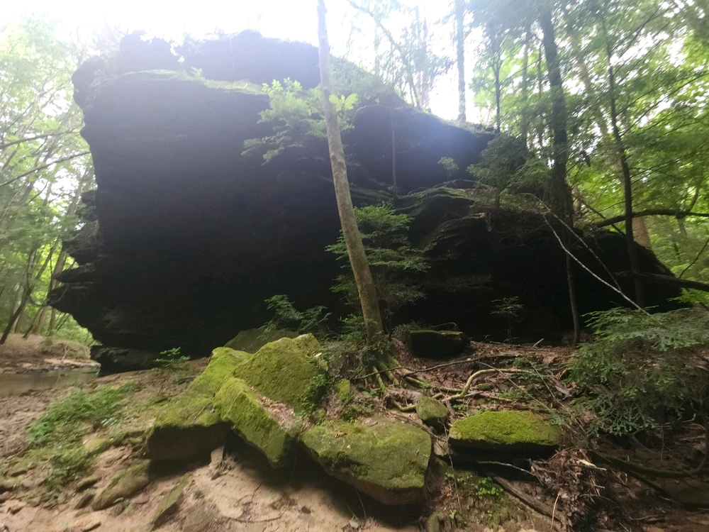 Image uploaded by Mike