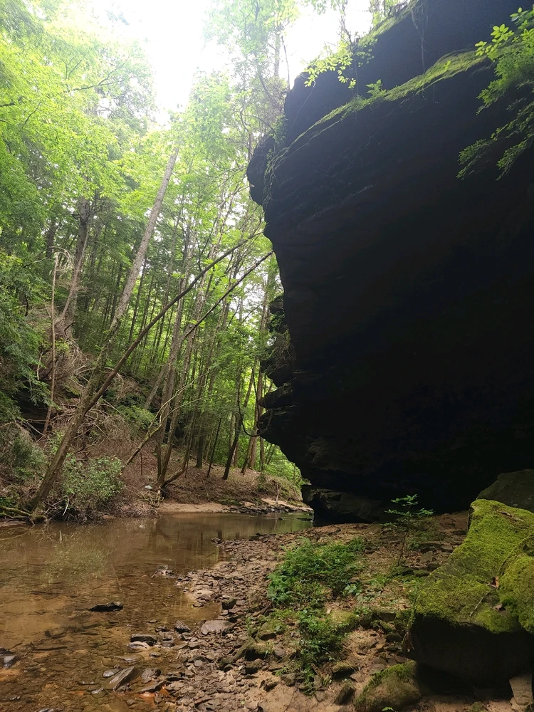 Image uploaded by Mike