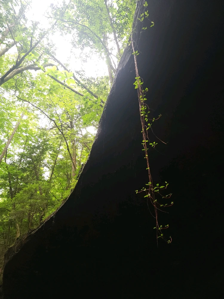 Image uploaded by Mike