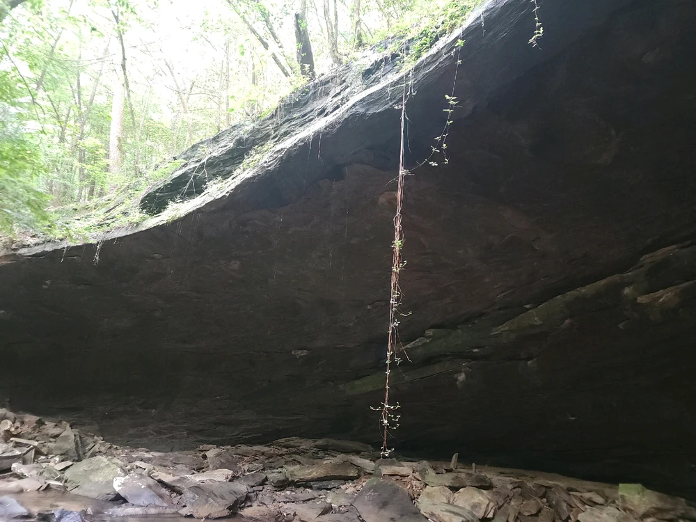 Image uploaded by Mike