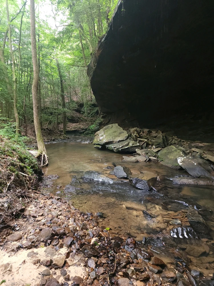 Image uploaded by Mike