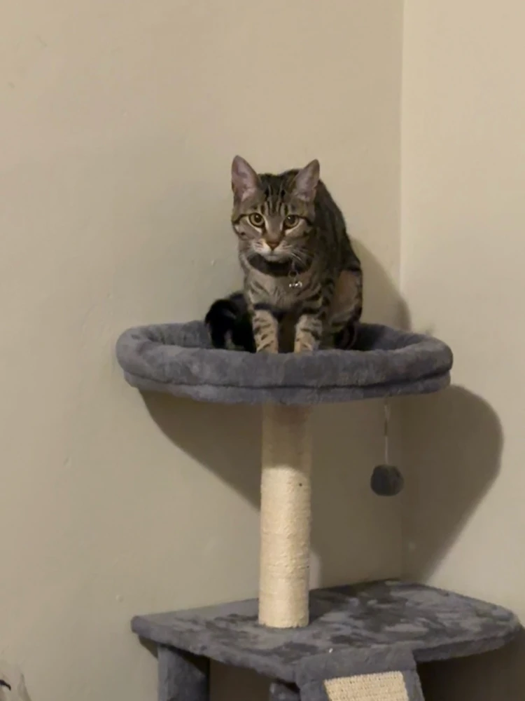 GIF uploaded by Gabriel