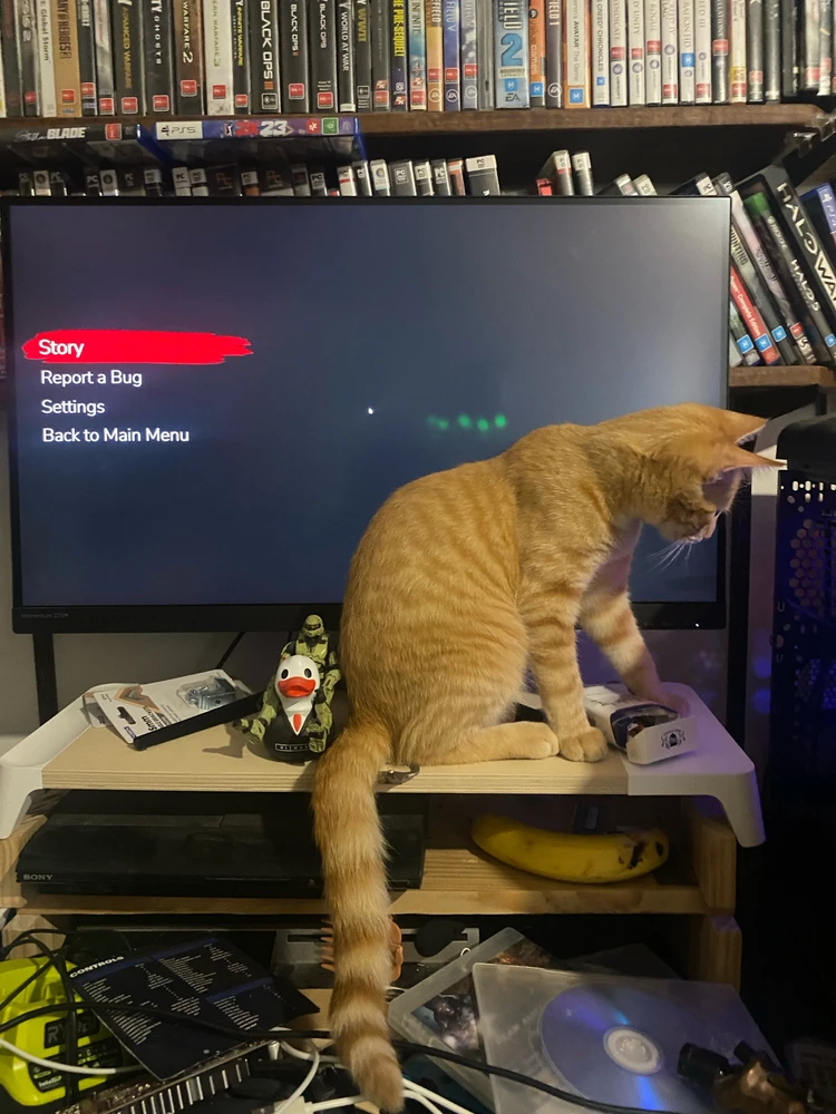 Image uploaded by Barry