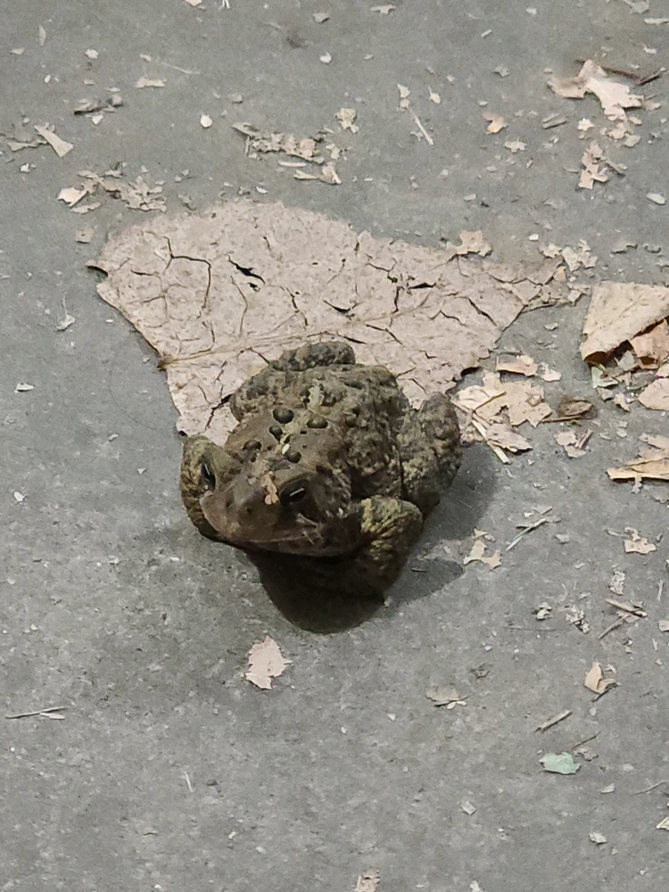 GIF uploaded by Mike