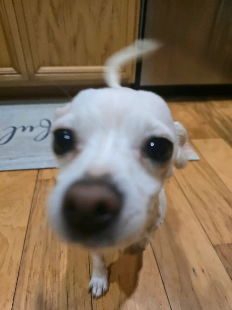 GIF uploaded by Mercy