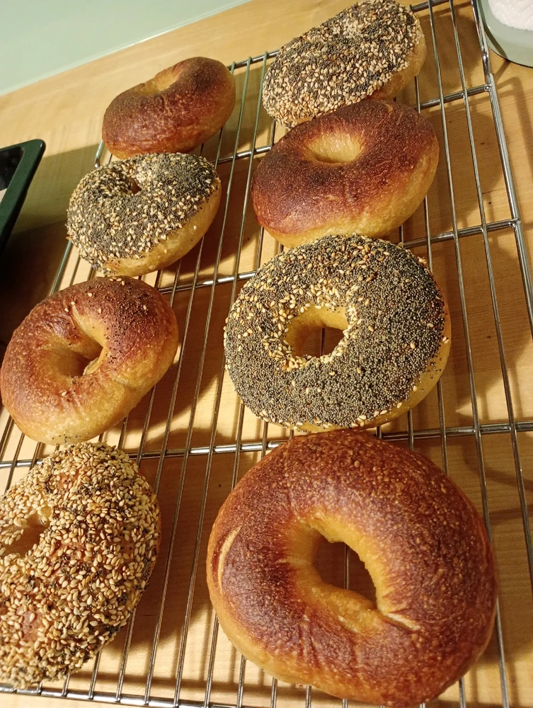 Bild hochgeladen von Nicki