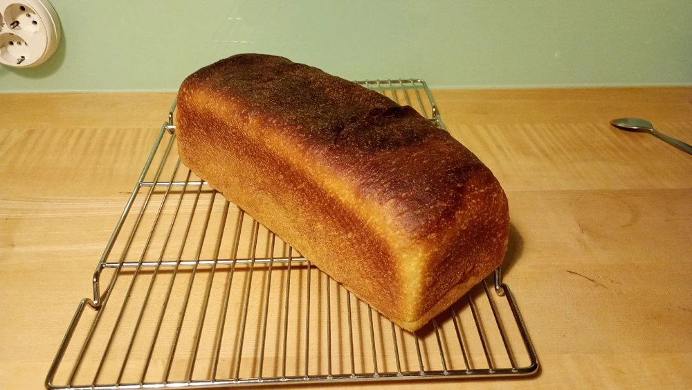 Bild hochgeladen von Nicki