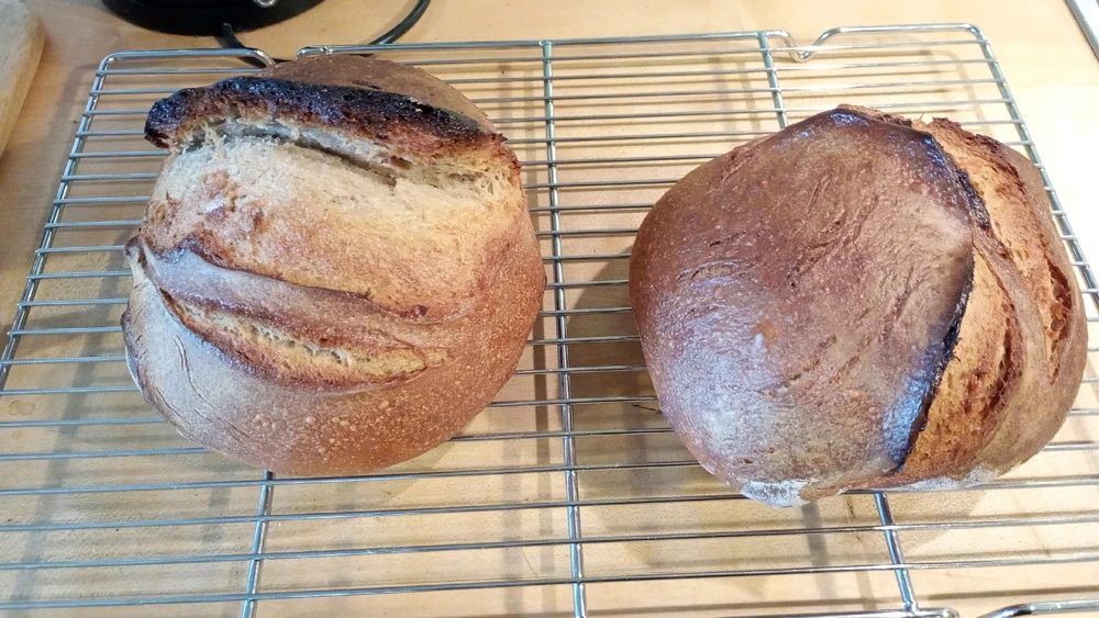 Bild hochgeladen von Nicki