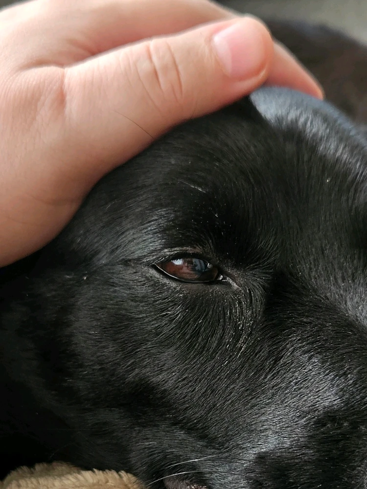 GIF uploaded by Tony