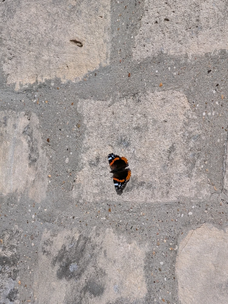 GIF ajouté par Laurentz