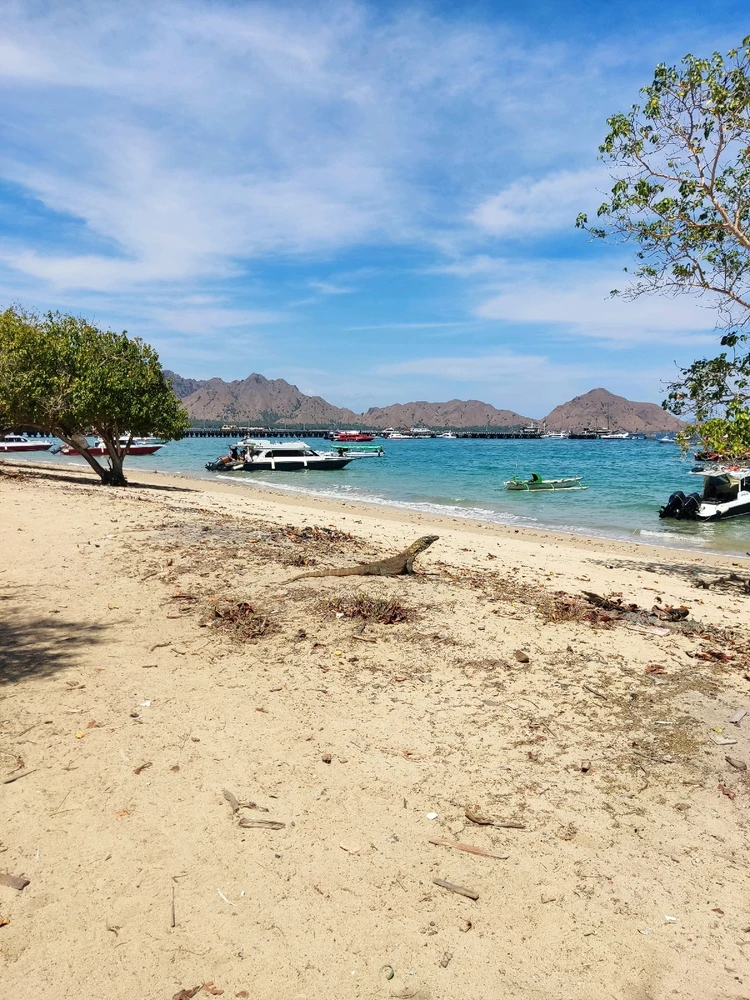 GIF diunggah oleh Reza