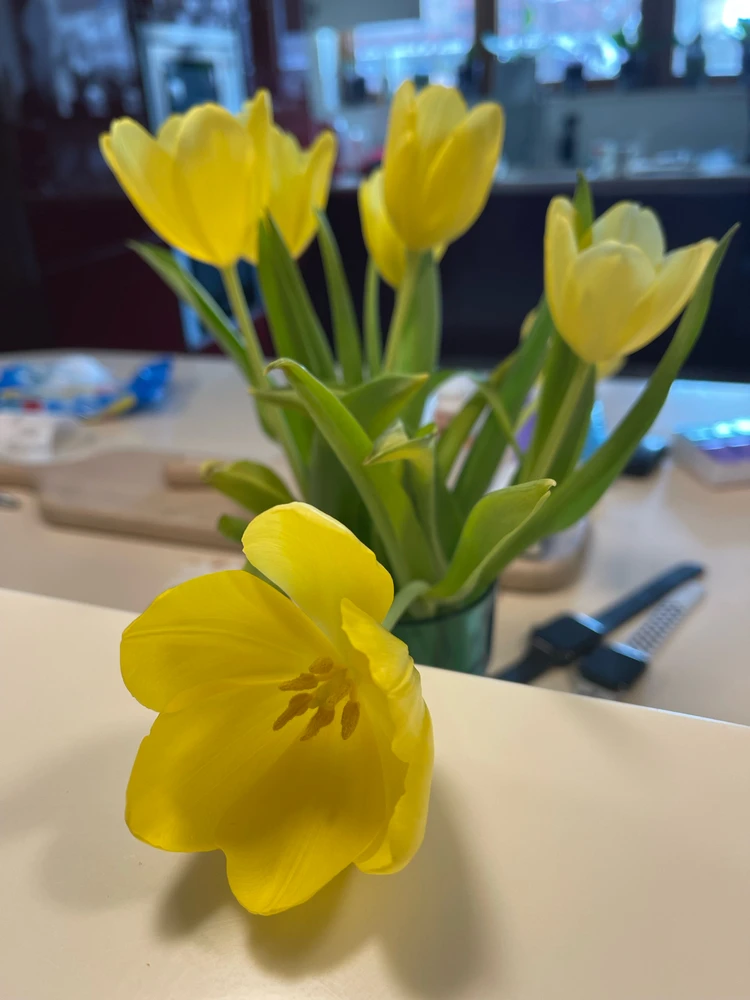 GIF uploaded by Bomi