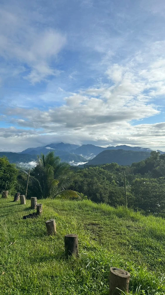 GIF uploaded by rizz