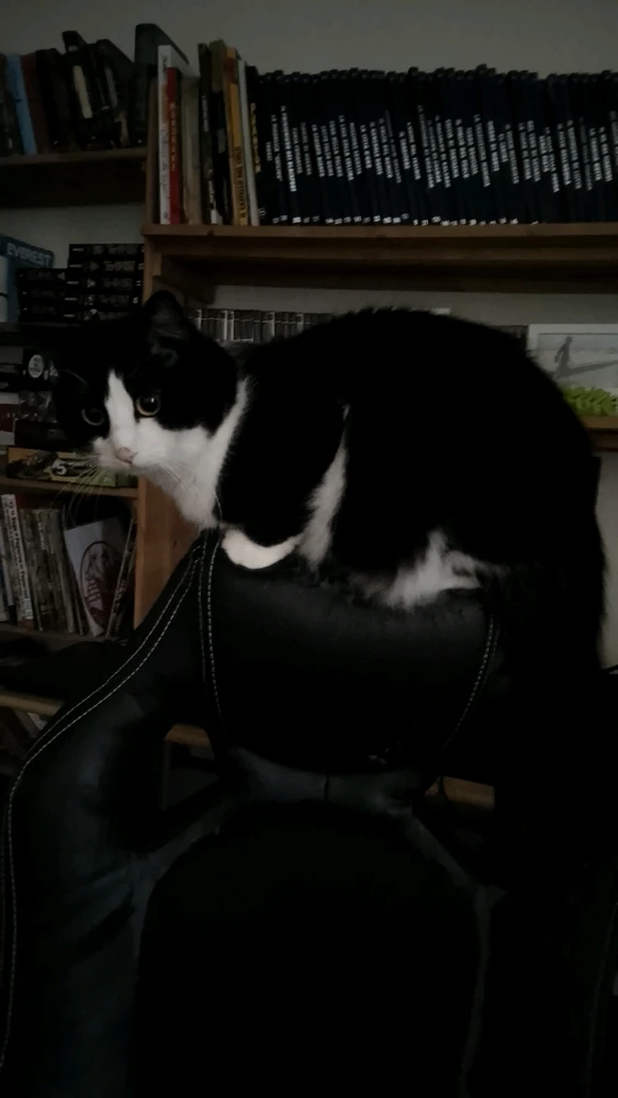 GIF caricata da Christopher