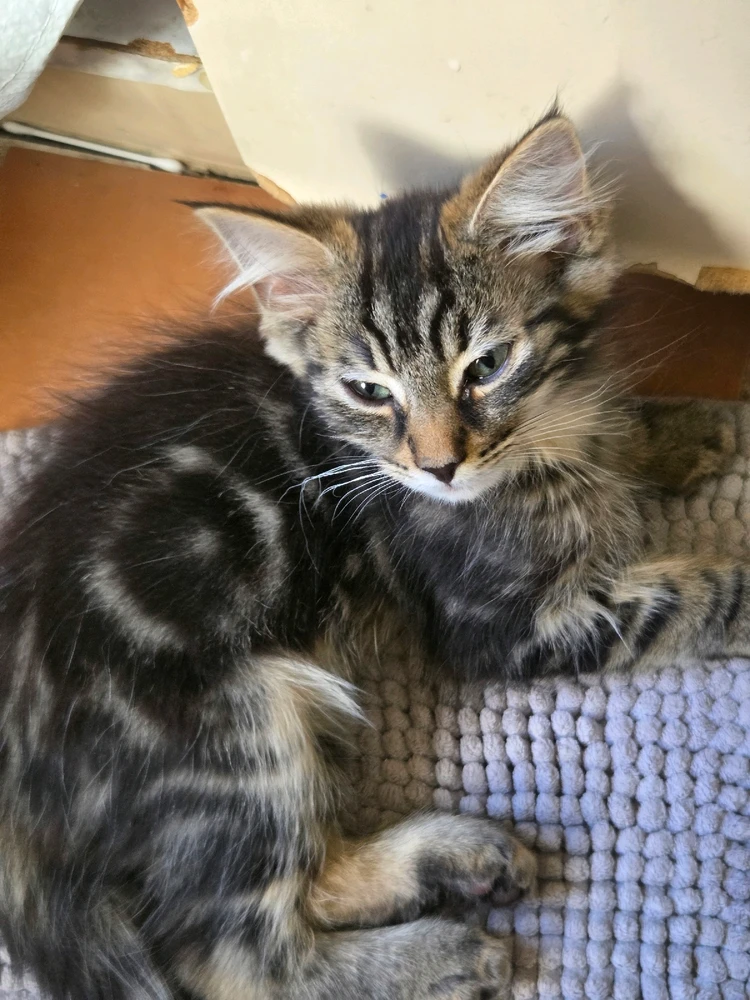 Image uploaded by Kai