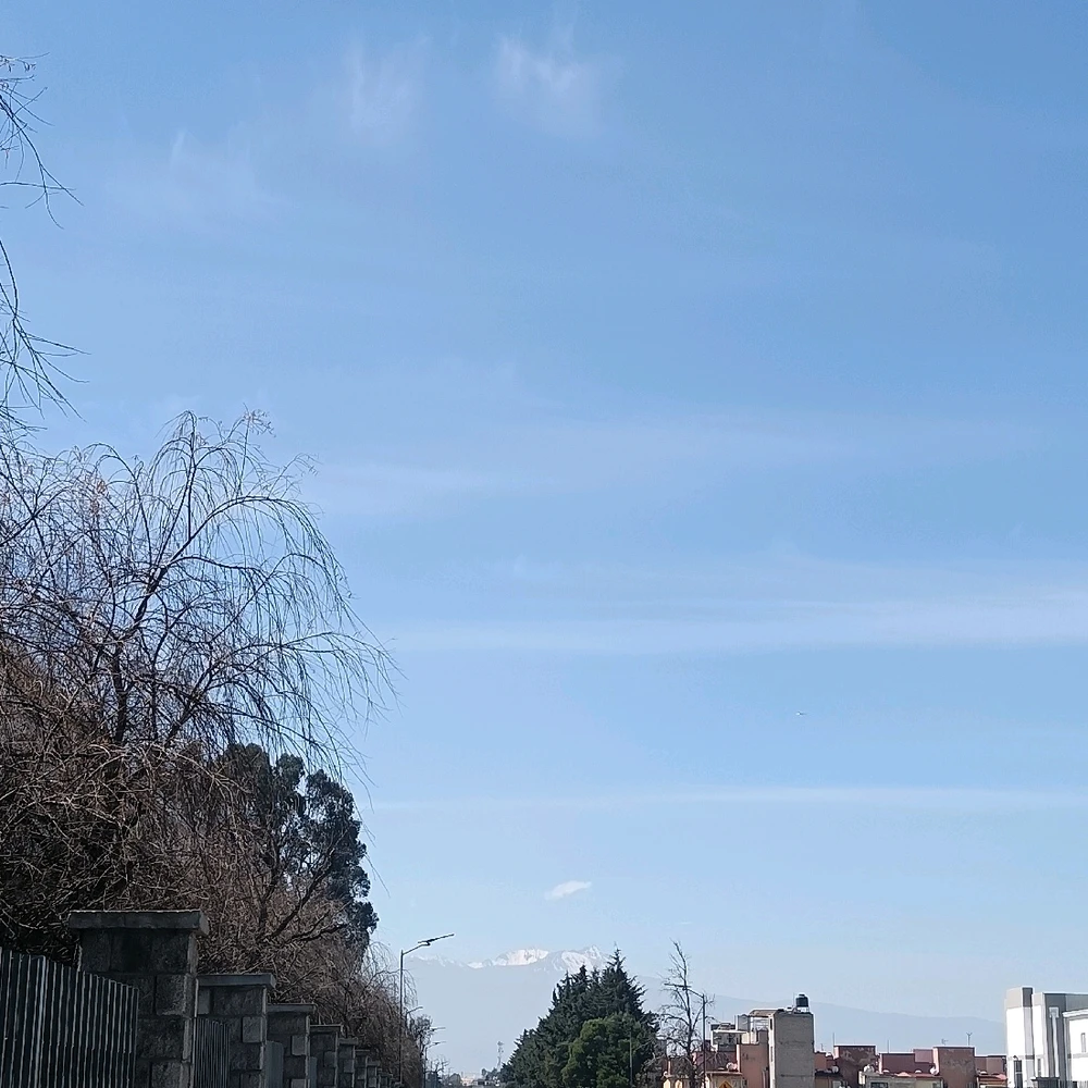 GIF subido por Jobis Flowers