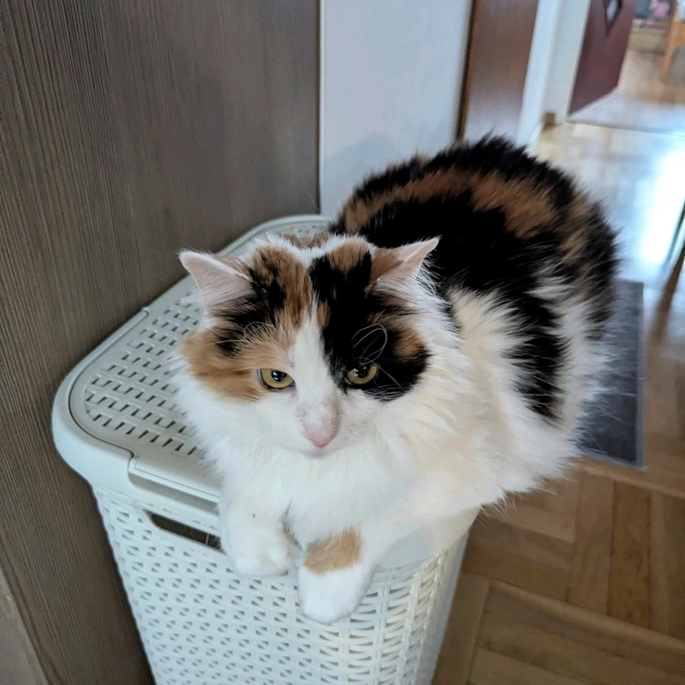 Зображення завантажив Marina