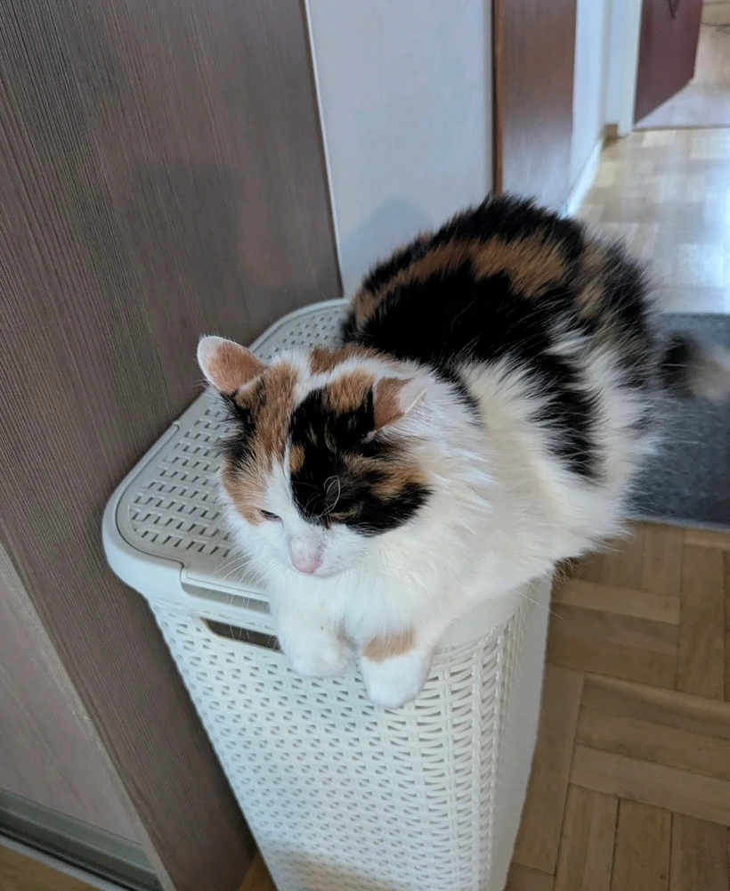 Зображення завантажив Marina