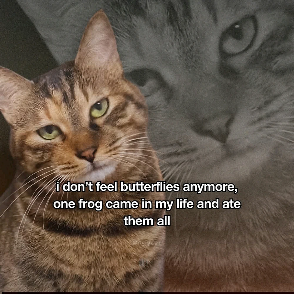 GIF uploaded by Kathkath