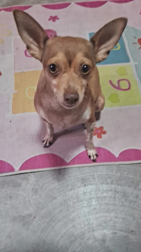 Imagen subida por Jose A.