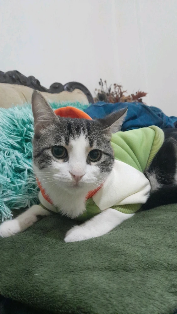 GIF uploaded by Anna