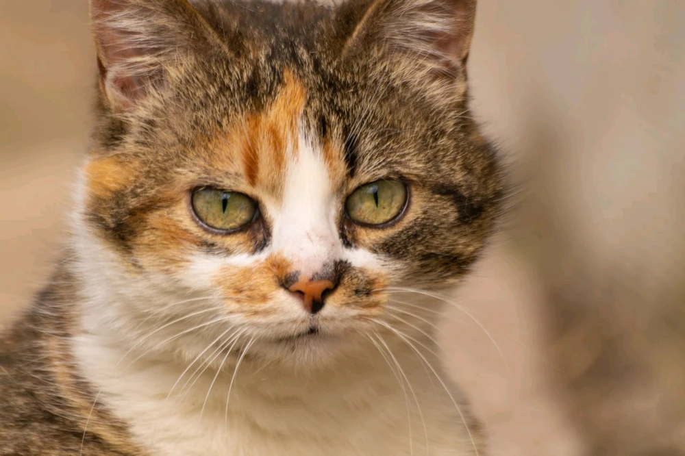 GIF uploaded by Артём