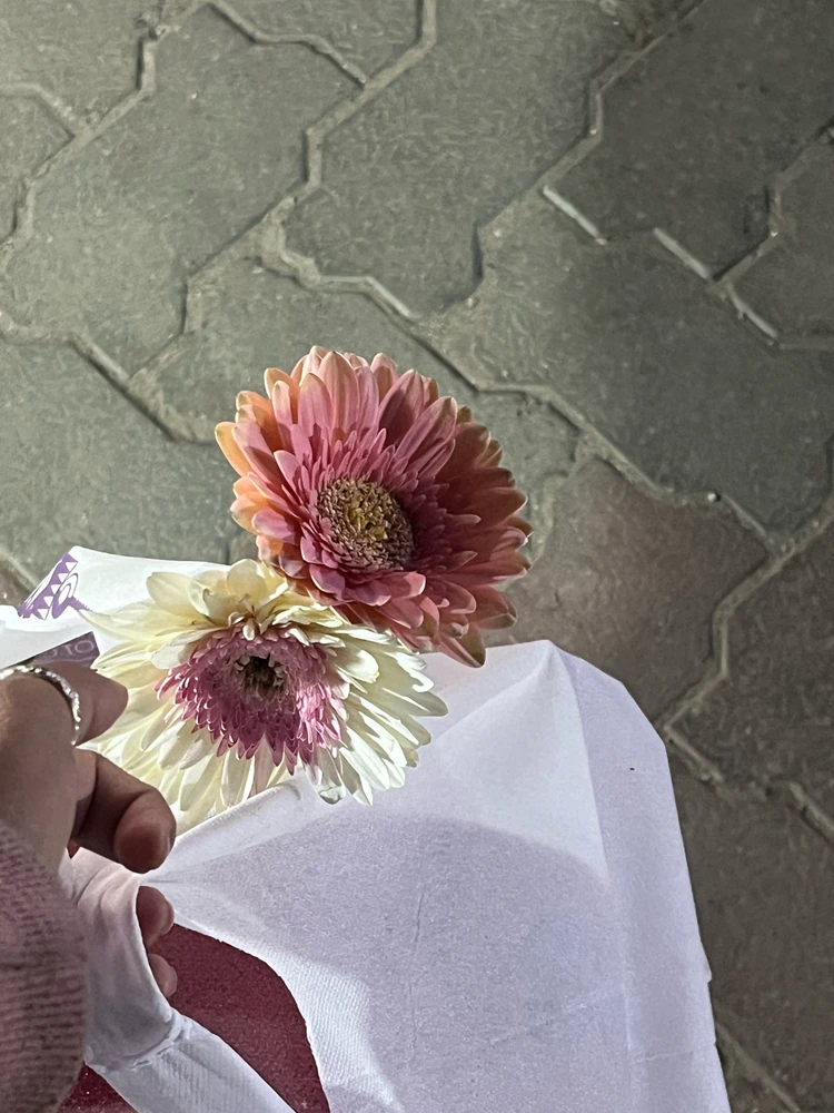 GIF uploaded by Dona