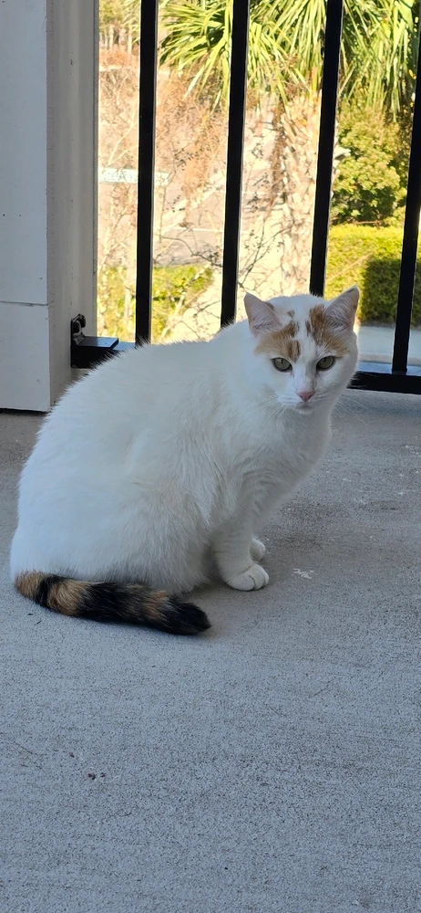 GIF uploaded by Joel