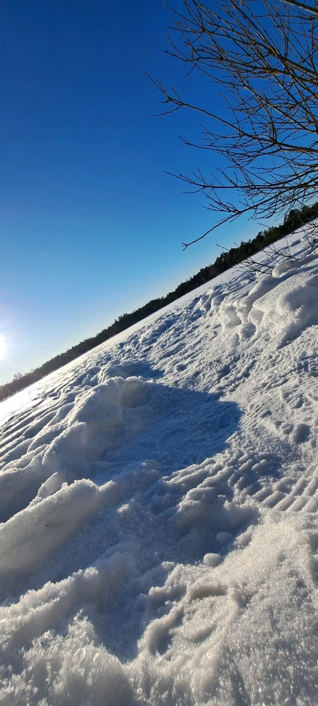 Indrek laadis üles pildi