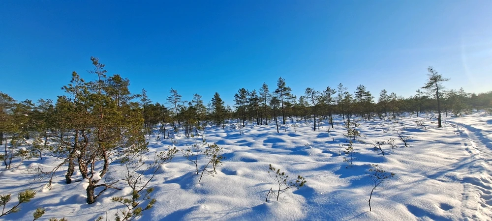 Indrek laadis üles pildi