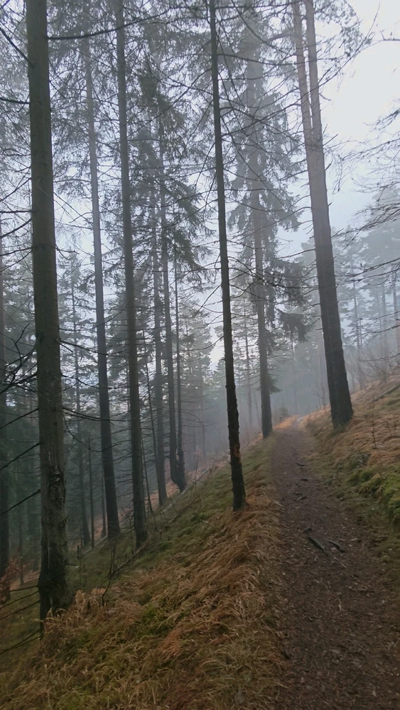 Fotku nahral/-a Marian