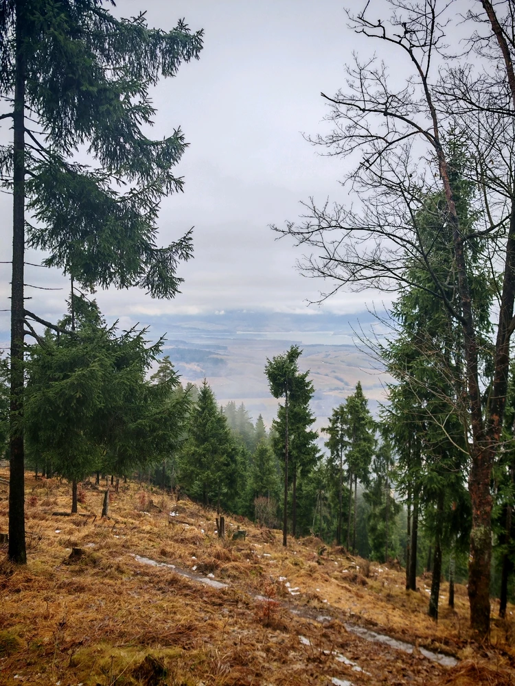 Fotku nahral/-a Marian