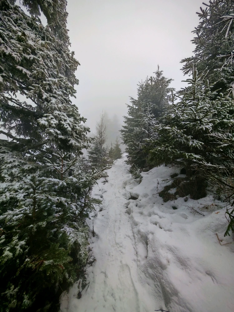 Fotku nahral/-a Marian