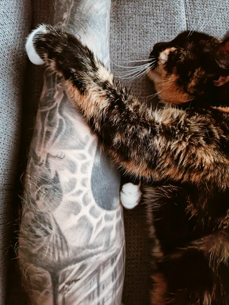 GIF hochgeladen von Andy