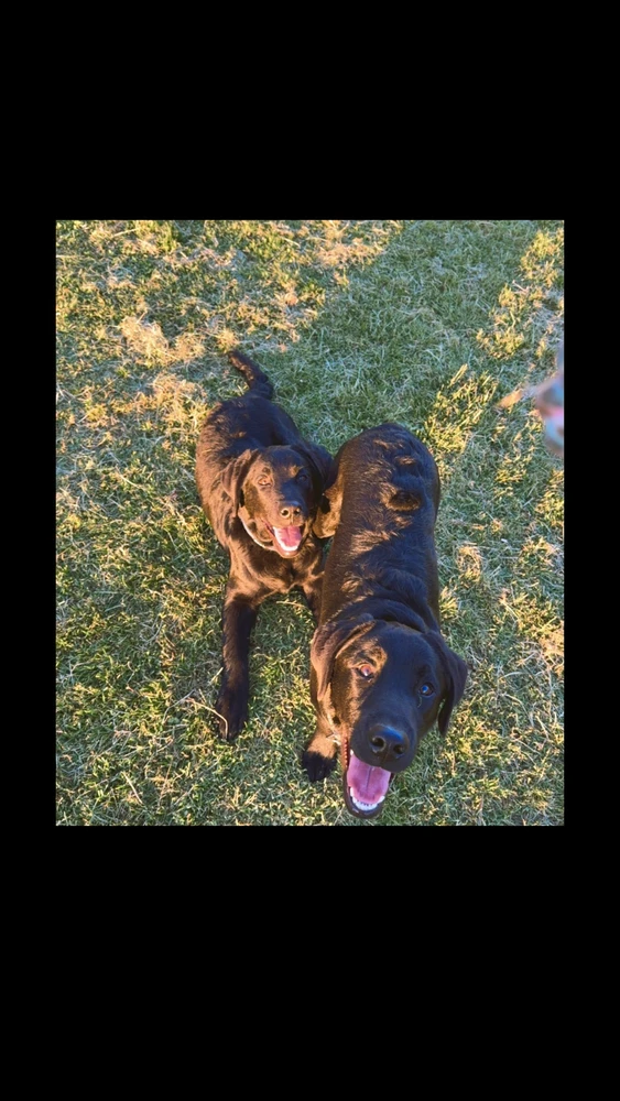 GIF uploaded by Ansh