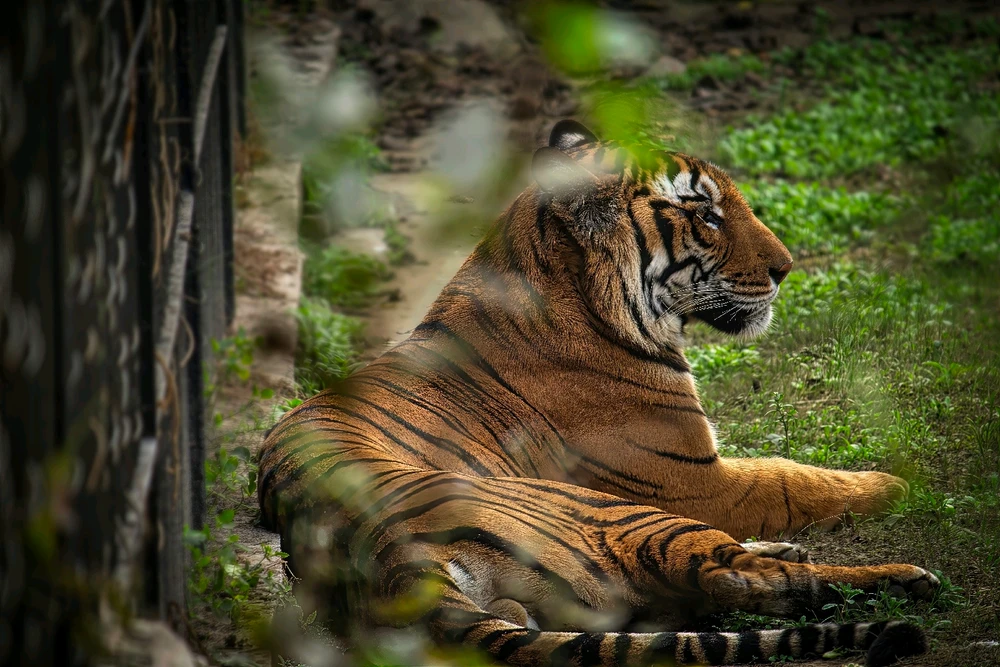 Image uploaded by Max Drew / Raman