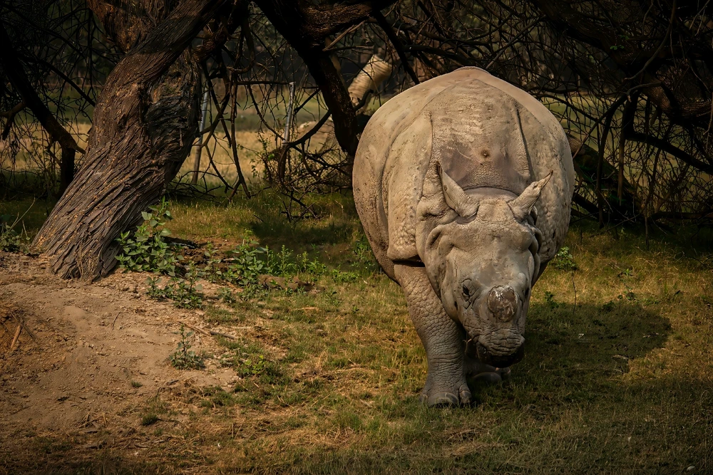 Image uploaded by Max Drew / Raman