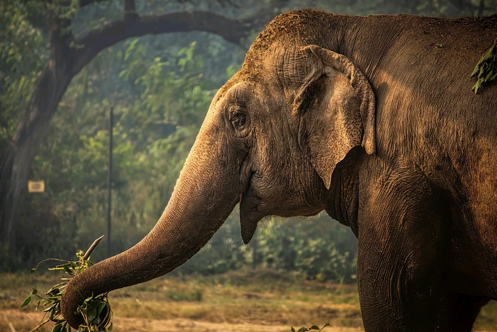 Image uploaded by Max Drew / Raman