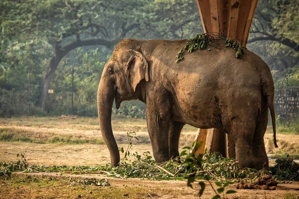 Image uploaded by Max Drew / Raman