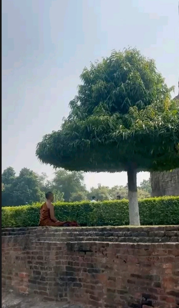 Imagen subida por Maru