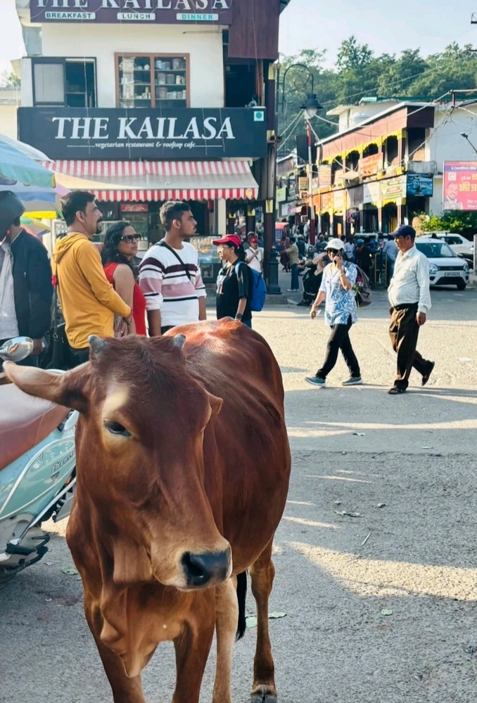 Imagen subida por Maru